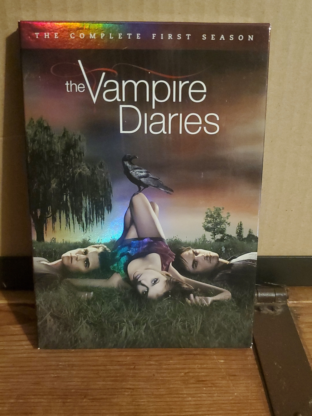 The Vampire Diaries - The Complete First Season DVD Box Set - Multi